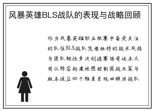 风暴英雄BLS战队的表现与战略回顾