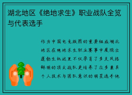 湖北地区《绝地求生》职业战队全览与代表选手